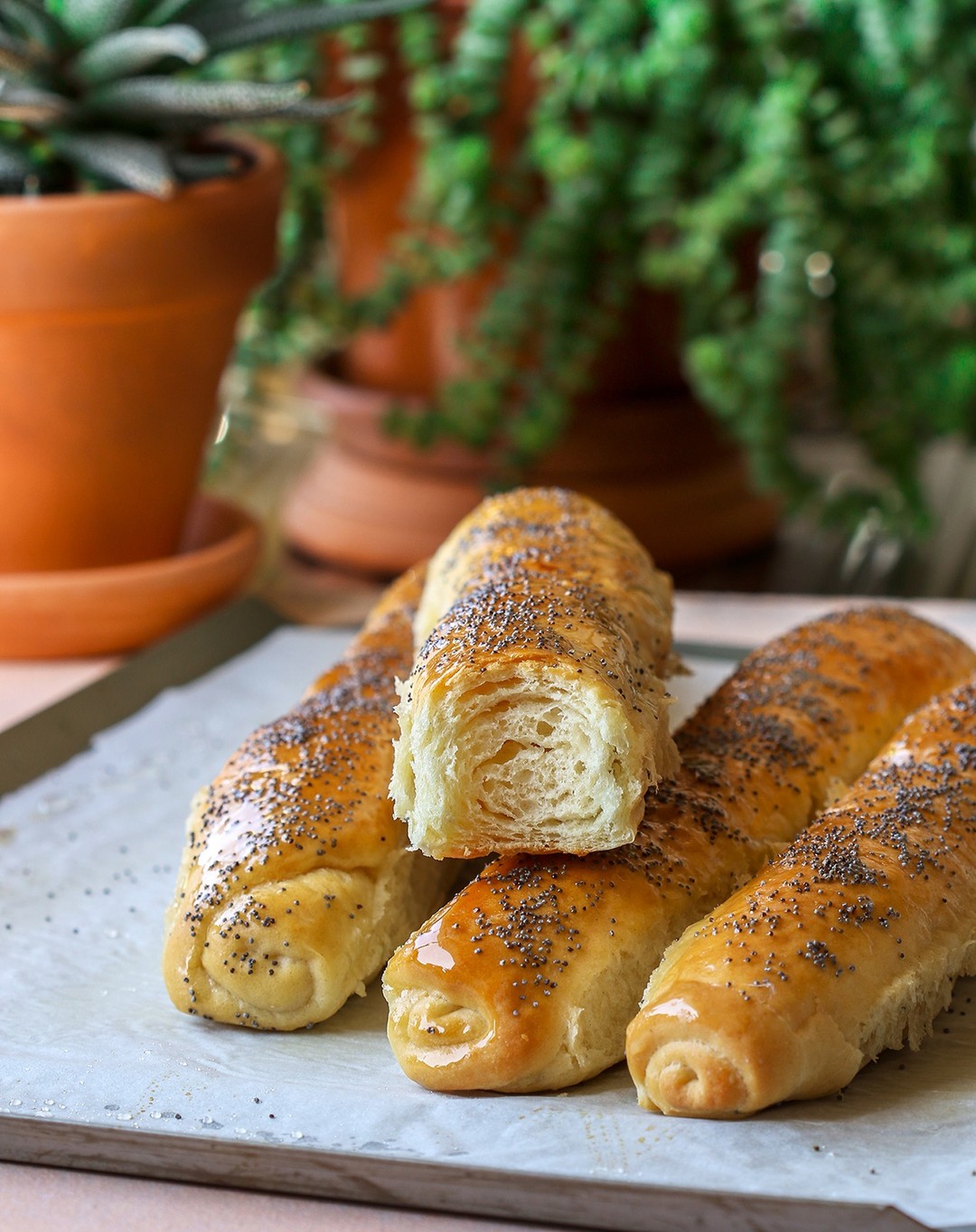 POPPY BREADSTICKS